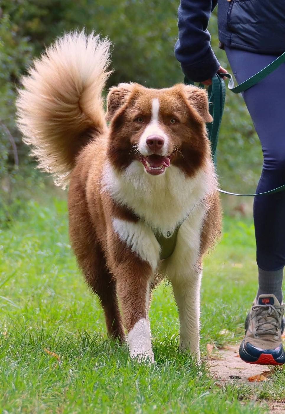 Vraiment prodigieux jazz Des Mille Et Une Pattounes